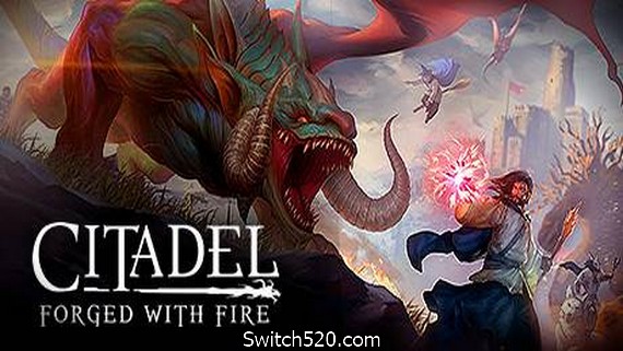堡垒：火焰之炼/Citadel: Forged with Fire- Switch520.com