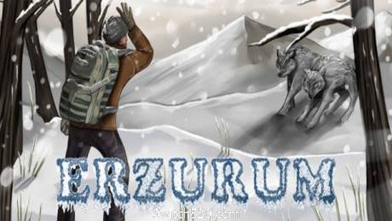 埃尔祖鲁姆/Erzurum- Switch520.com