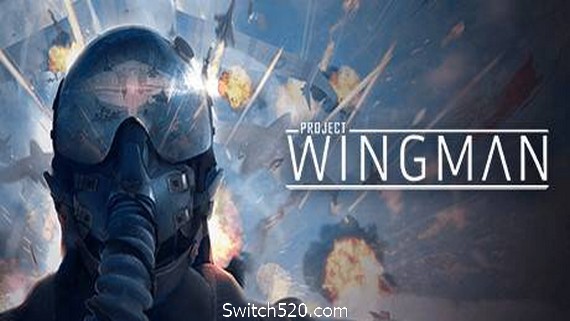 僚机计划/Project Wingman- Switch520.com