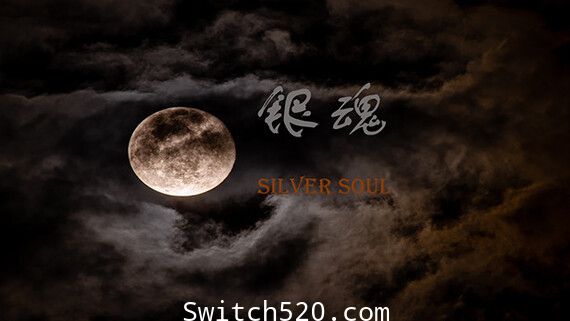 银魂:Silver Soul/官方中文语音/完美学习版