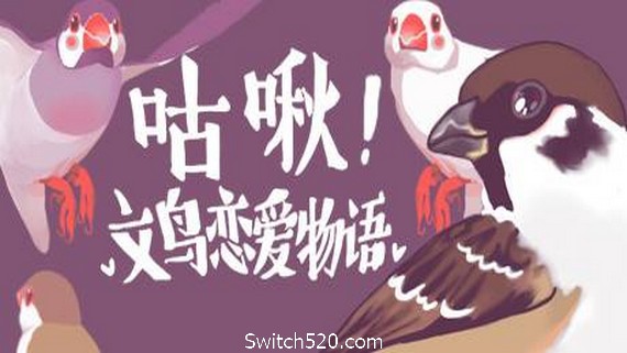 咕啾！文鸟恋爱物语/Love Story of Sparrow- Switch520.com