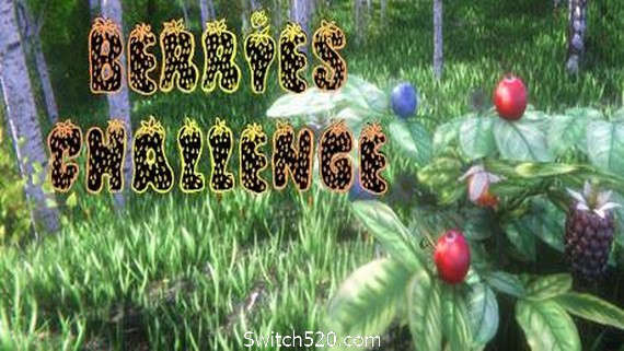 浆果挑战赛/Berries Challenge- Switch520.com