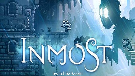 极渊/INMOST- Switch520.com