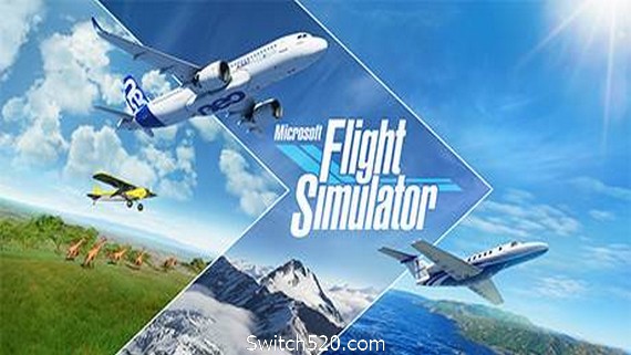 PC微软飞行模拟2020/Microsoft Flight Simulator- Switch520.com