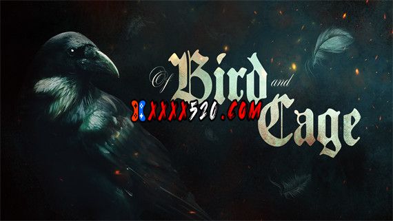 鸟与笼|官方中文|解压即撸|